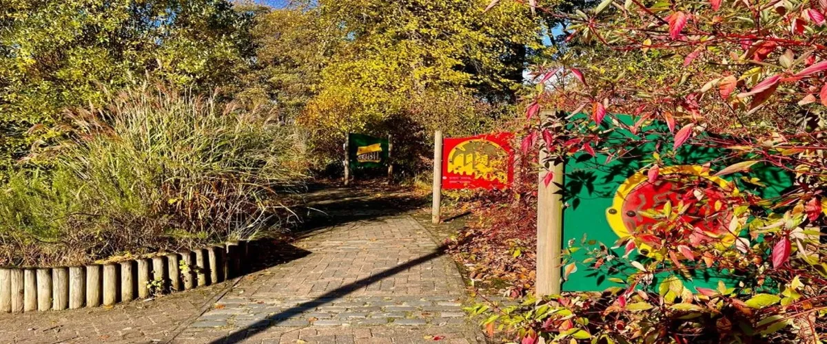 Foto 4 Camperdown Country Park
