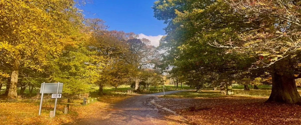 Foto 5 Camperdown Country Park