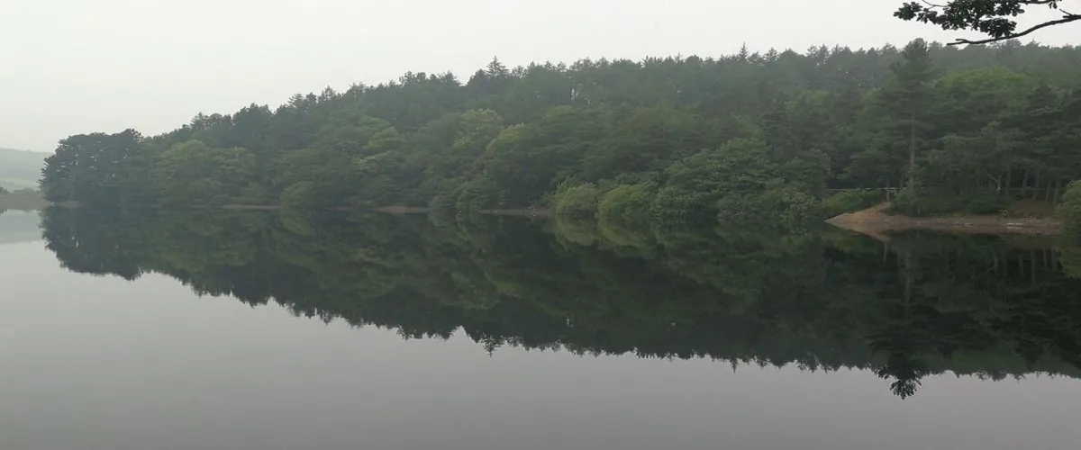 Foto 4 Damflask Reservoir