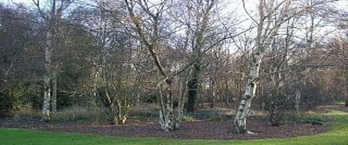 Foto 3 Dundee Botanic Garden