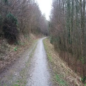 Foto de Friston Forest