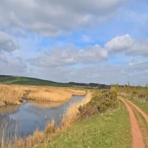 Foto de RSPB St Aidan
