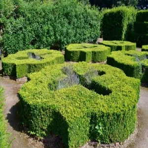 Foto de Temple Newsam