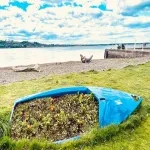 Foto 5 Broughty Ferry Beach