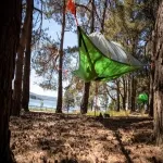 Foto 4 Brownsea Island