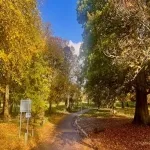 Foto 5 Camperdown Country Park
