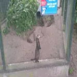 Foto 5 Camperdown Wildlife Centre