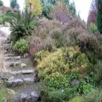 Foto 2 Dundee Botanic Garden