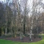 Foto 3 Dundee Botanic Garden