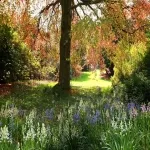 Foto 5 Dundee Botanic Garden